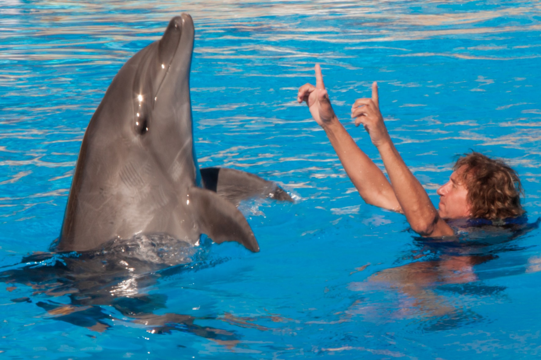 Tony Reis Magic Dolphin Show 15