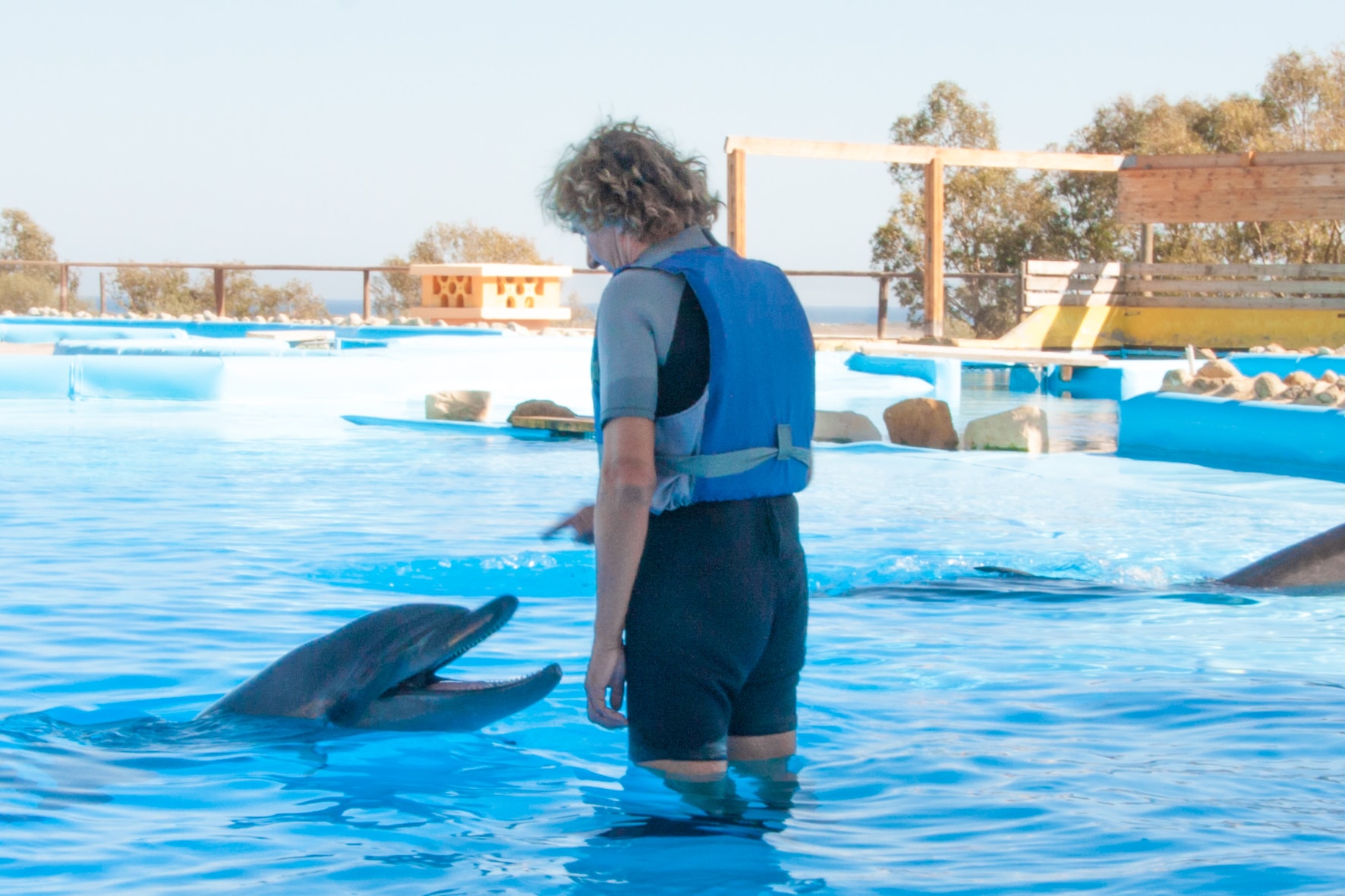 Tony Reis Magic Dolphin Show 2