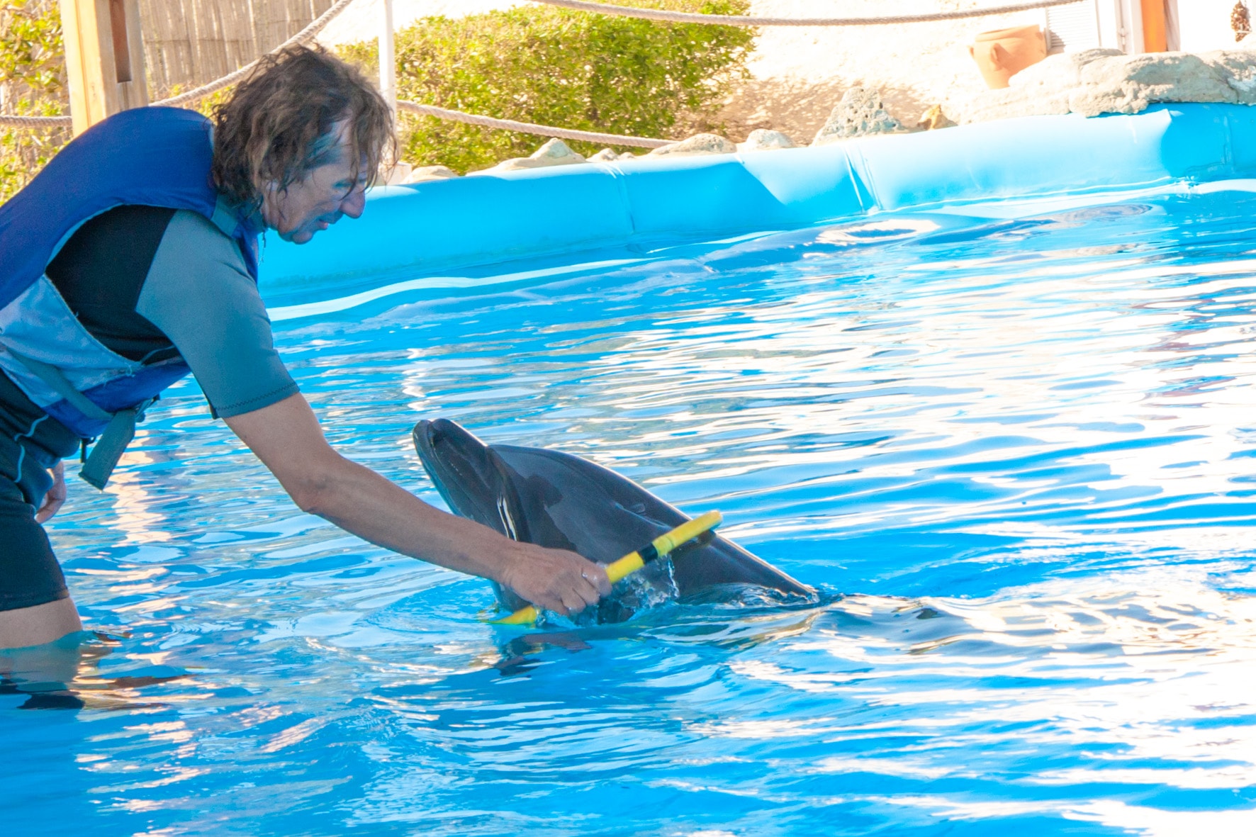 Tony Reis Magic Dolphin Show 23