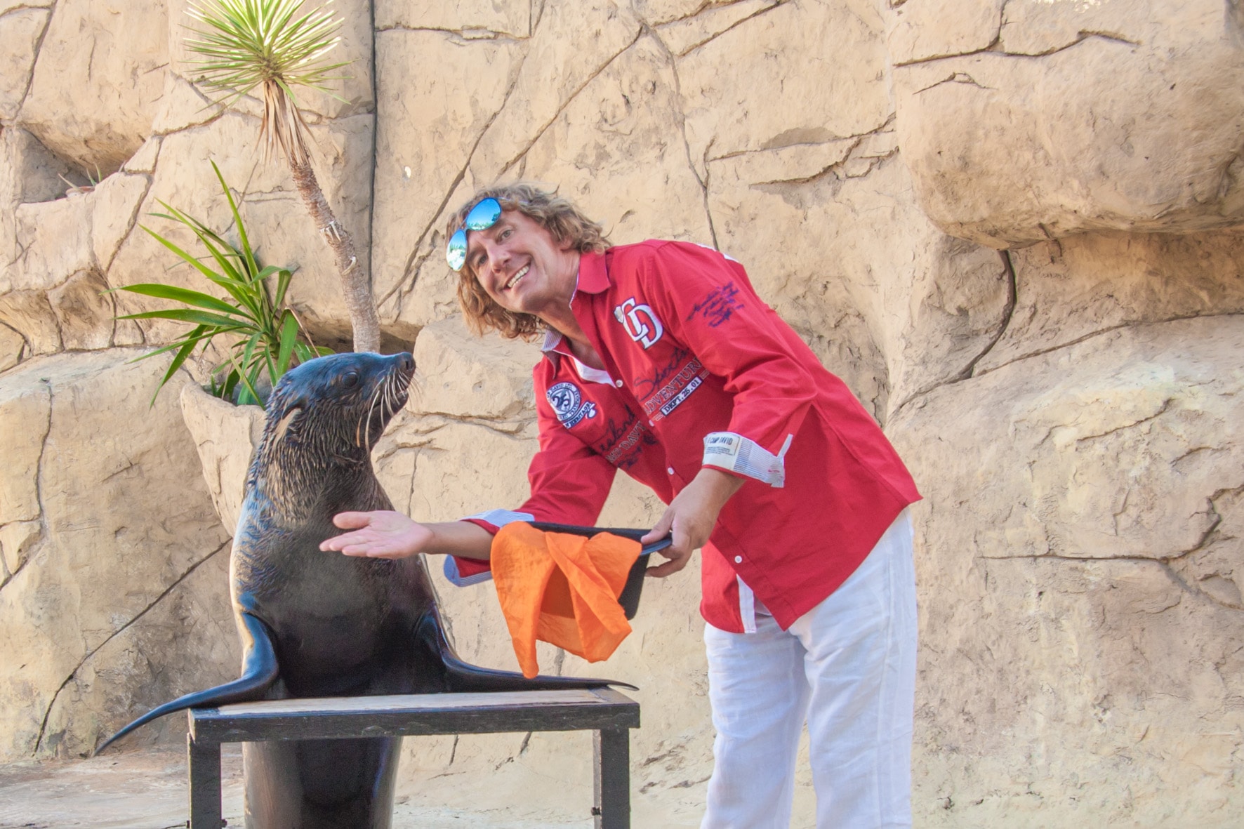Tony Rei's Magic Dolphin Show – Tony Reis Magic Dolphin Show 32