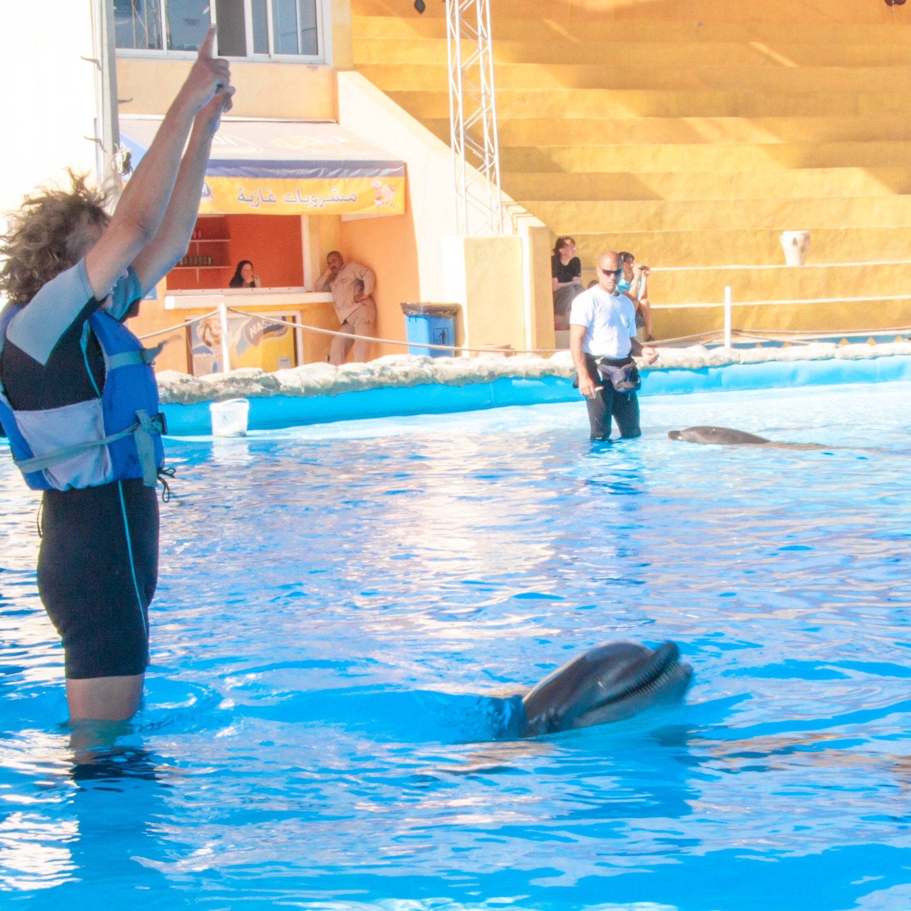 Tony Reis Magic Dolphin Show 4