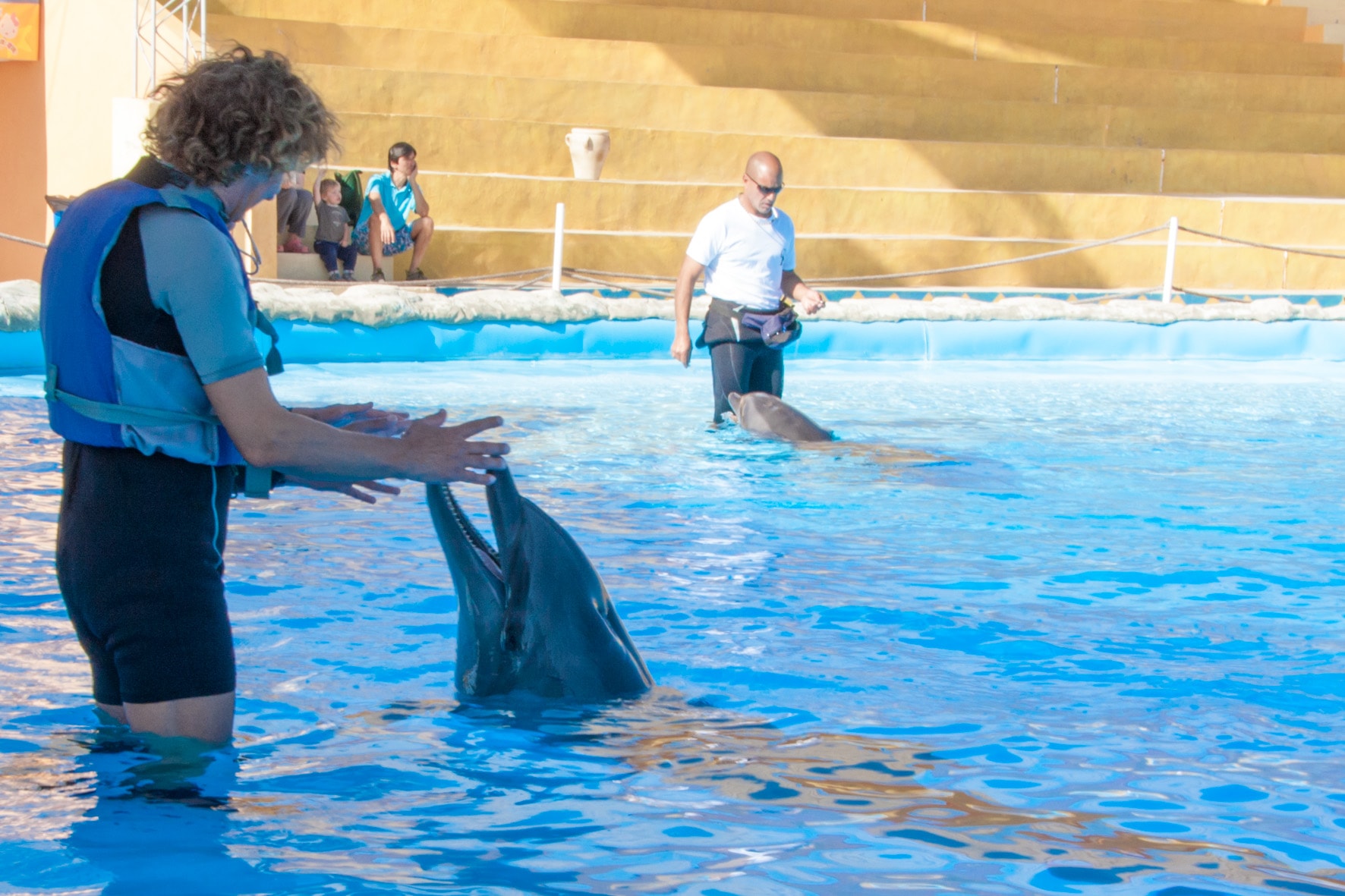 Tony Reis Magic Dolphin Show 1