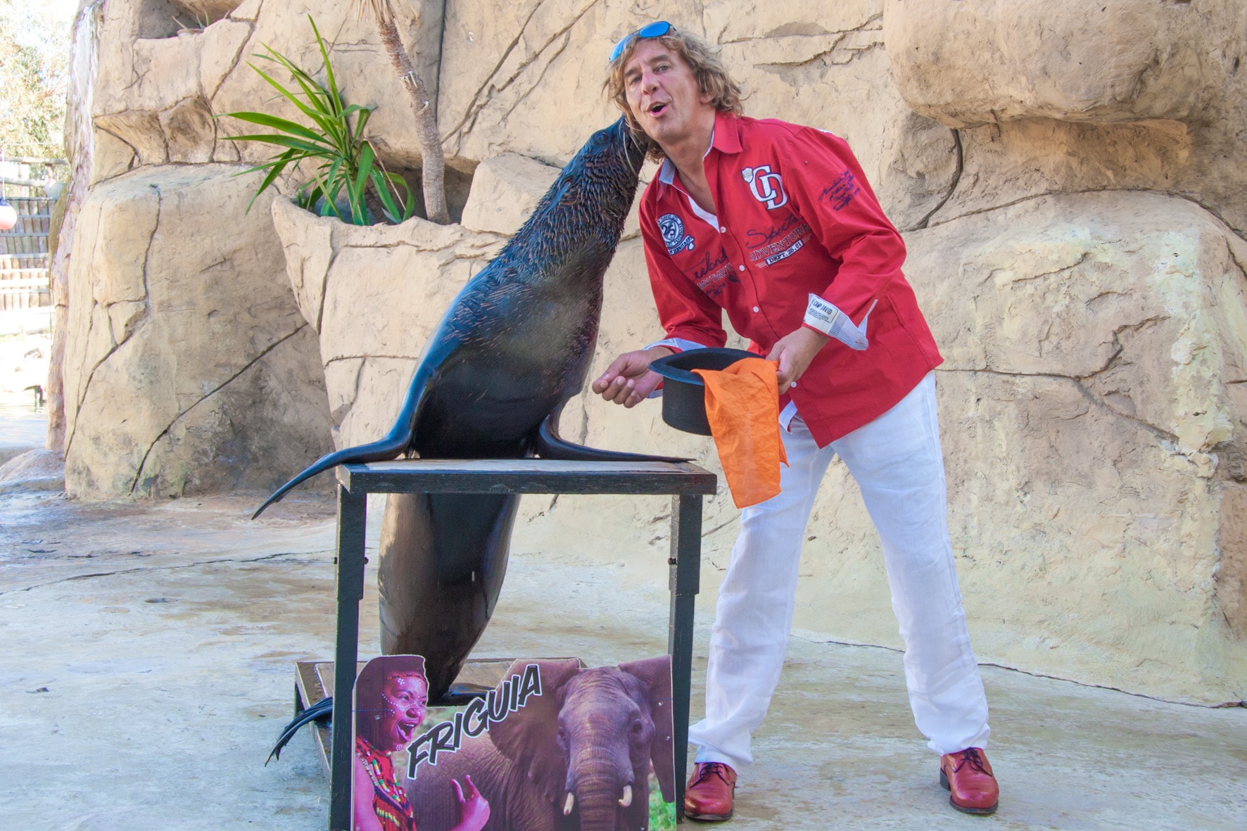 Tony Rei's Magic Dolphin Show – Tony Reis Magic Dolphin Show 33